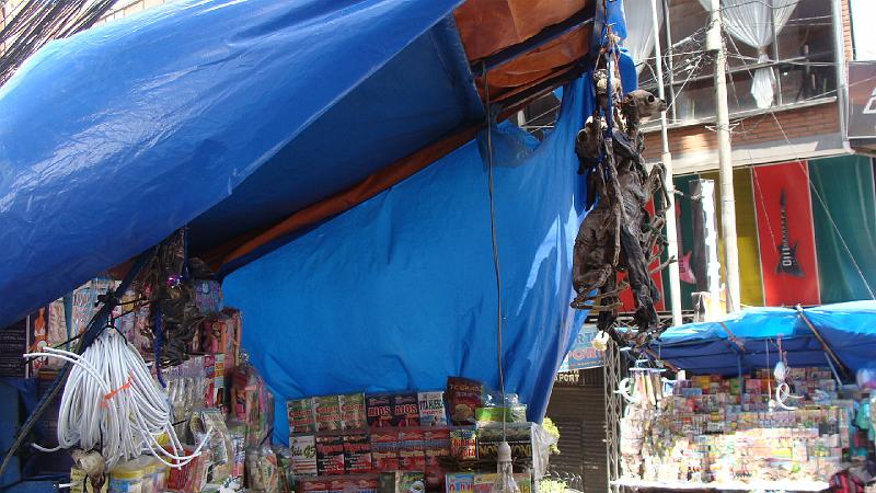 La Paz Steves (25).JPG